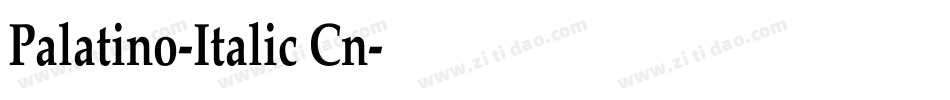 Palatino-Italic Cn字体转换
